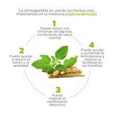 ASHWAGANDHA 60 TABLETAS - SWSUPPS