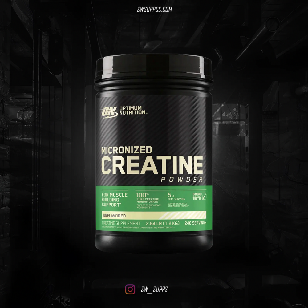 OPTIMUM NUTRITION 240 SERV