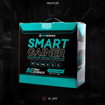 SMART GAINER 13 LB