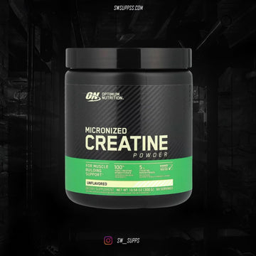 OPTIMUM NUTRITION 60 SERV